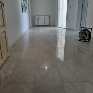 abramer-2026-alanya-villa-zemin-silim-cila (2)